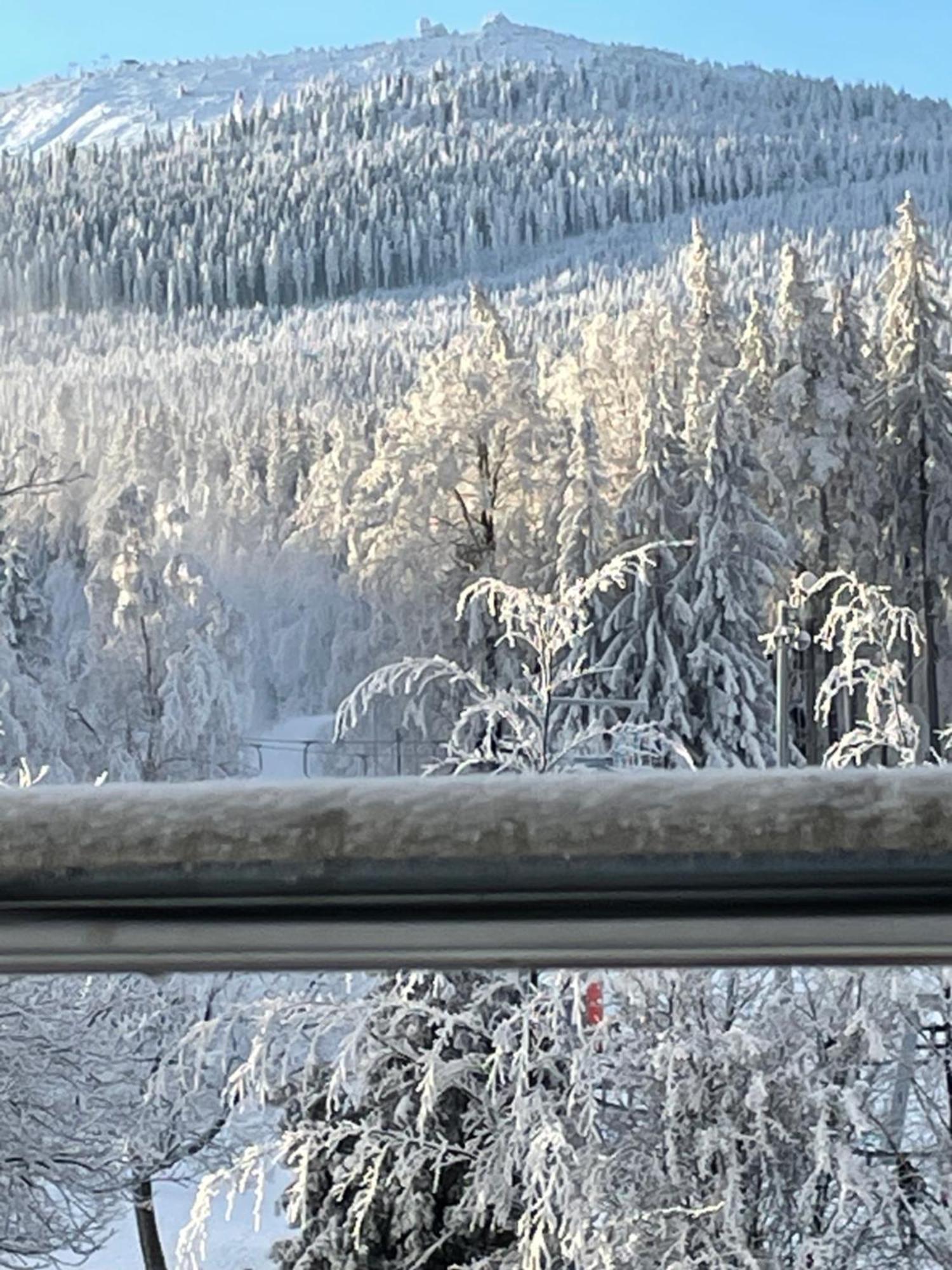 Villa Roma Przy Wyciagu Na Szrenice Szklarska Poreba Dış mekan fotoğraf